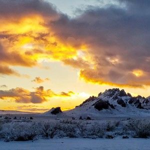 Meet your Posher, Connie